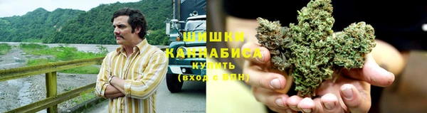 PSILOCYBIN Осташков