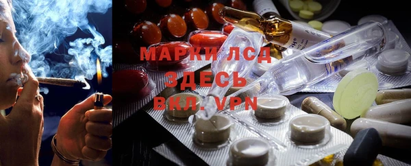 PSILOCYBIN Осташков