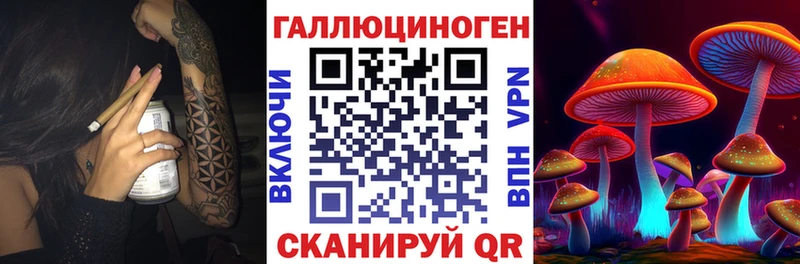 Галлюциногенные грибы MAGIC MUSHROOMS  как найти наркотики  блэк спрут как войти  Бабушкин 